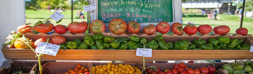  Why You Should Go to The Farmer’s Market
