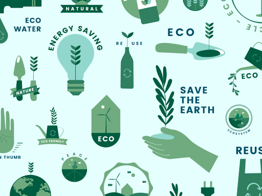 Living an Eco-Friendly Lifestyle: 12 Tips for Green Habits