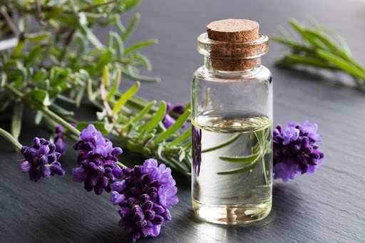 A bottle of lavender essential oil with fresh lavender twigs on a dark background