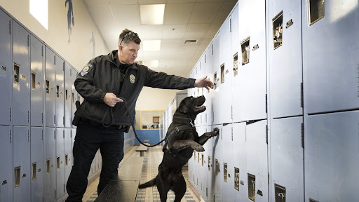 Gunpowder Sniffing Dogs Are Coming to Our District