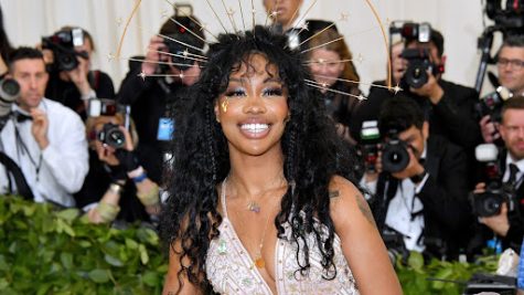 Photo from https://www.teenvogue.com/story/sza-pink-versace-gown-met-gala-2018