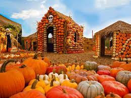 Photo Courtesy of https://www.timeout.com/los-angeles/things-to-do/the-best-pumpkin-patches-in-los-angeles
