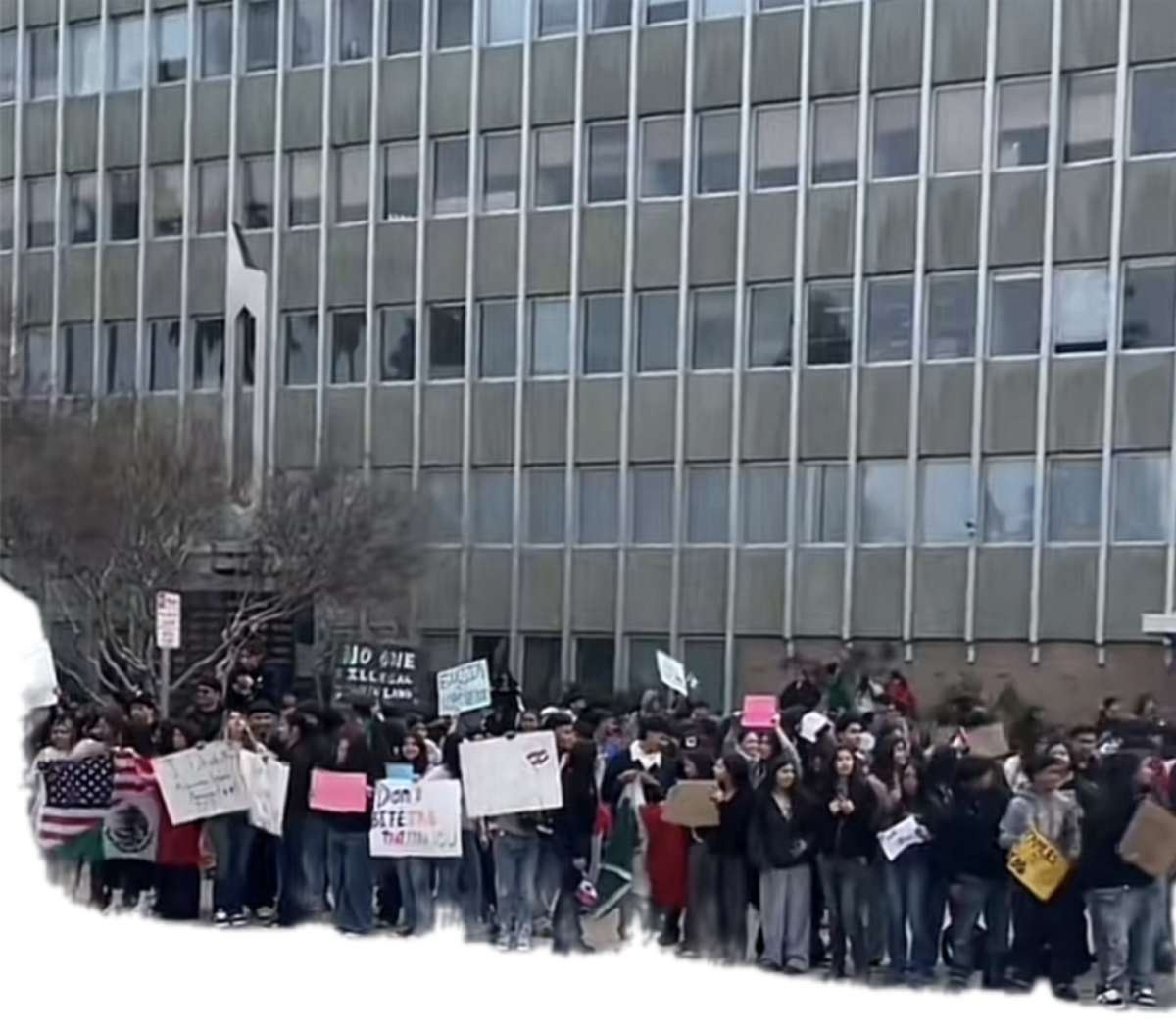 Immigrant Protests