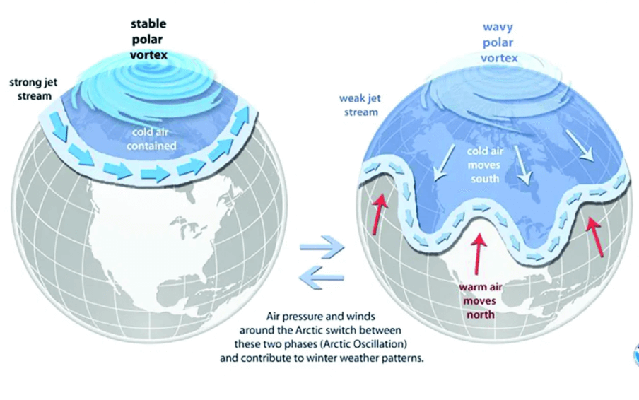 Arctic Winds