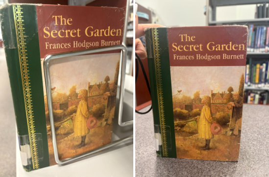 The Secret Garden Book Review