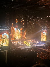 Lainey Wilson Concert Review