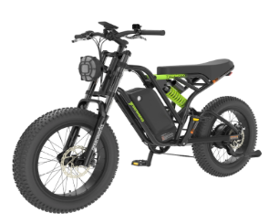 E- Bike Safety and Rules in SCV