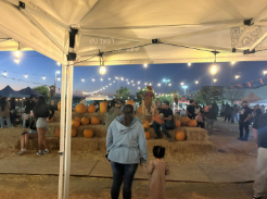 The Pumpkin Patch